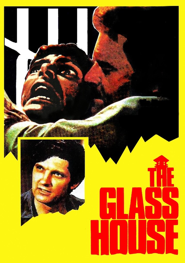 The Glass House película Ver online en español
